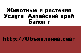 Животные и растения Услуги. Алтайский край,Бийск г.